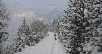 ski rando