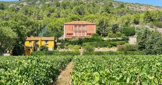 Catalan-Wine-Escape-photo-4