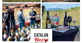 Catalan Wine