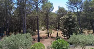 Terrain Terrain
