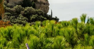Best Western Coeur de Cassis