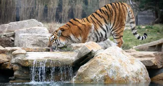 Parc Animalier La Barben