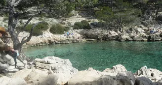 Calanque Port Pin
