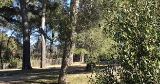 Parc aux écureuils