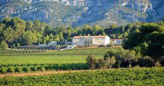 Domaine viticole du Château Gassier à Puyloubier