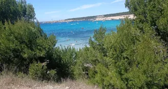 Plage de La Saulce_Martigues Plage de La Saulce_Martigues