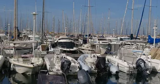 Port de la  Pointe Rouge Marseille