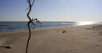 Plage Napoléon