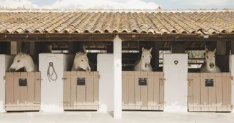 Les Bains Gardians