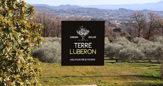 Chambres d’hôtes Terre Luberon Chambres d’hôtes Terre Luberon