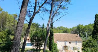 Mas LeBlanc des Alpilles à Saint-Etienne-du-Grès