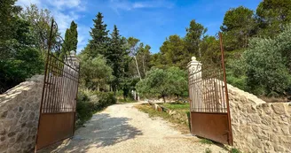 Mas LeBlanc des Alpilles à Saint-Etienne-du-Grès