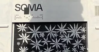SOMA