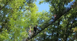 Le bois des lutins