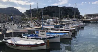 Port de Cassis