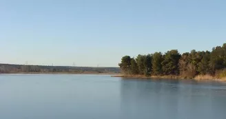 13SN000245_1_HD.jpg