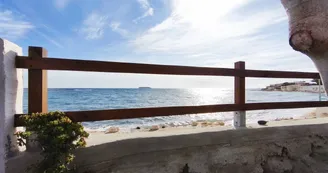 Harmonie Terre Mer_Martigues Harmonie Terre Mer_Martigues
