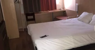 Ibis
