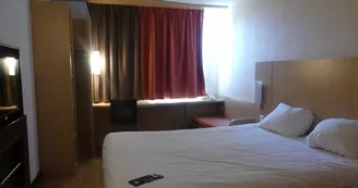 Ibis