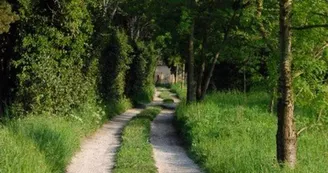Le Petit Rougadou randonnées