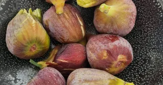 Mas Paloma_Rognonas