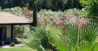 Mas Paloma_Rognonas
