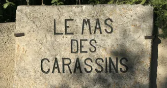Le Mas des Carassins