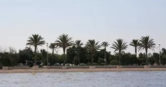 13SN000154_2_WEB.jpg