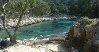 Calanque de Port Pin Marseille