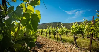 Domaine de Villeneuve