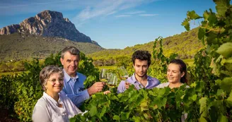 domaine de villeneuve - claret