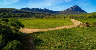 Domaine de Villeneuve
