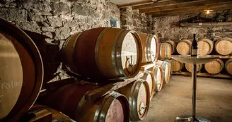 Domaine de Villeneuve