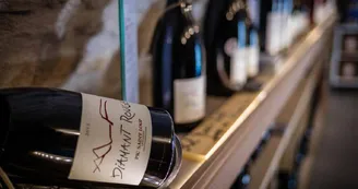 Domaine de Villeneuve