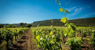 Domaine de Villeneuve