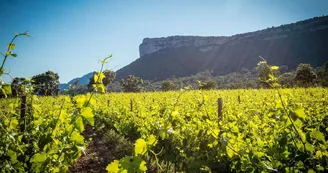 Domaine de Villeneuve