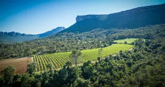 Domaine de Villeneuve