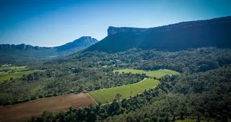 Domaine de Villeneuve