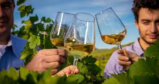 Domaine de Villeneuve