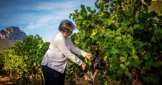Domaine de Villeneuve