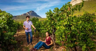 Domaine de Villeneuve