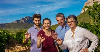 Domaine de Villeneuve