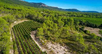 Domaine de Villeneuve