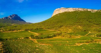 Domaine de Villeneuve