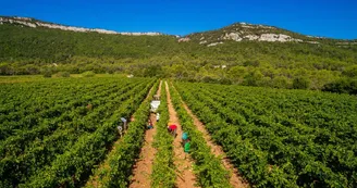 Domaine de Villeneuve