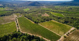 Domaine de Villeneuve