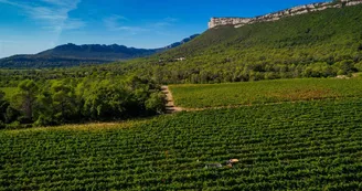 Domaine de Villeneuve