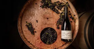 Domaine de Villeneuve
