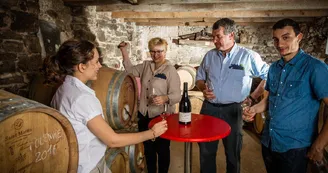 Domaine de Villeneuve