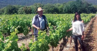 Jean Mas de Farjou 2013 (3)
